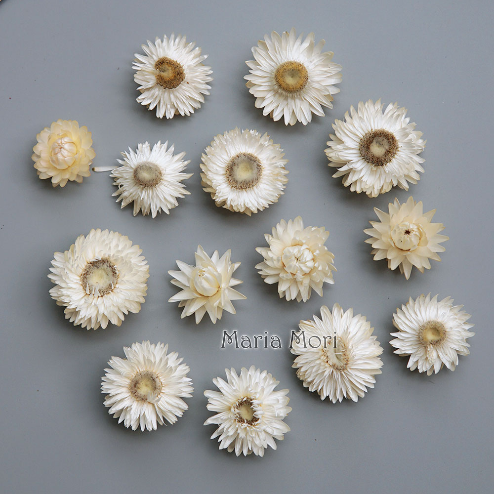 Baby Products For 1 Year Old - 天然のドライでカラフルな菊の花輪,手作りのヘアアクセサリー,樹脂製品,アロマテラピーキャンドル